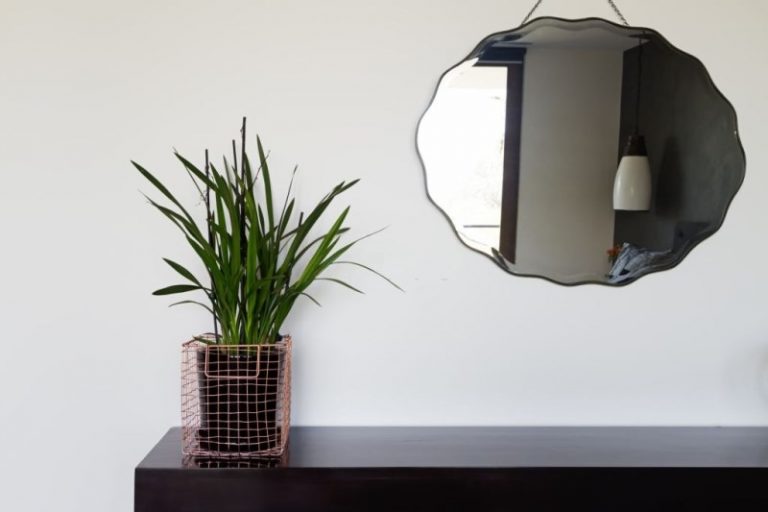 Ideas to Use CustomCut Mirrors in Office that give Maximum Brightness